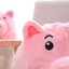 Woke Nhật Bản Ngọt Ngào Nữ Cô Gái Dễ Thương Sang Trọng Lợn Động Vật Mũ Ngộ nghĩnh 3D Mũi Thêu Cos