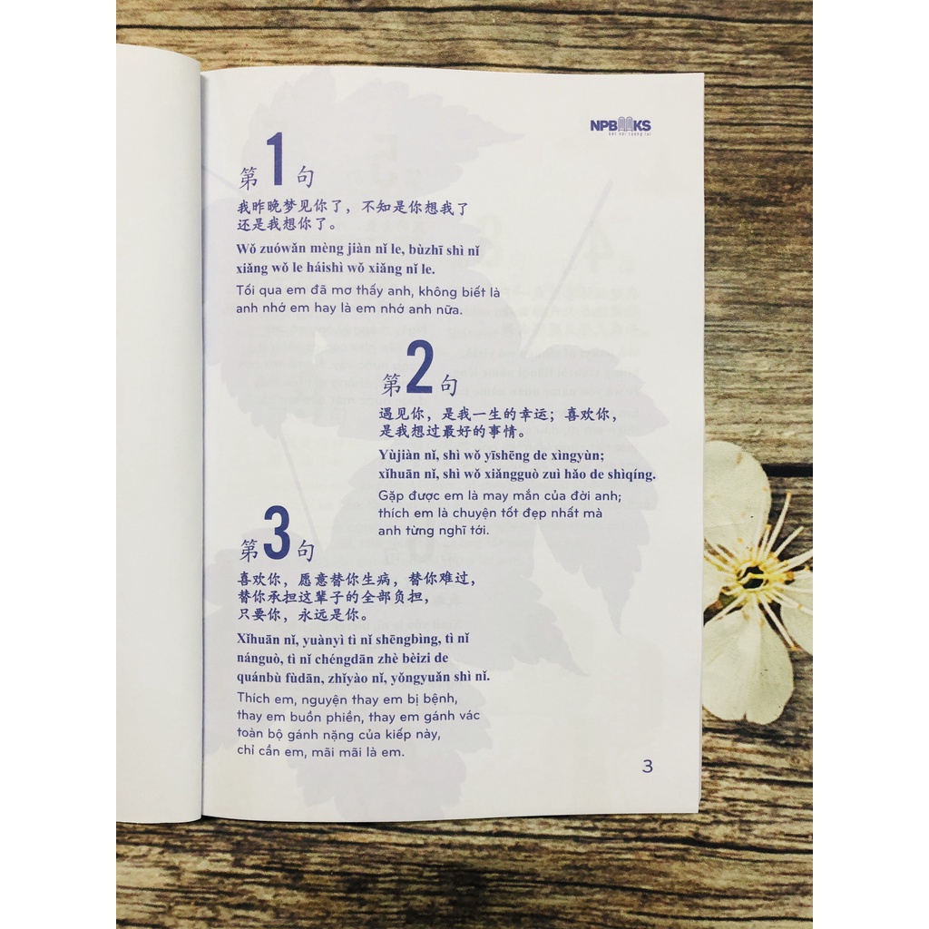 Ảnh Sách - Bí kíp thả thính song ngữ trung Việt - Có phiên âm tiếng trung 1