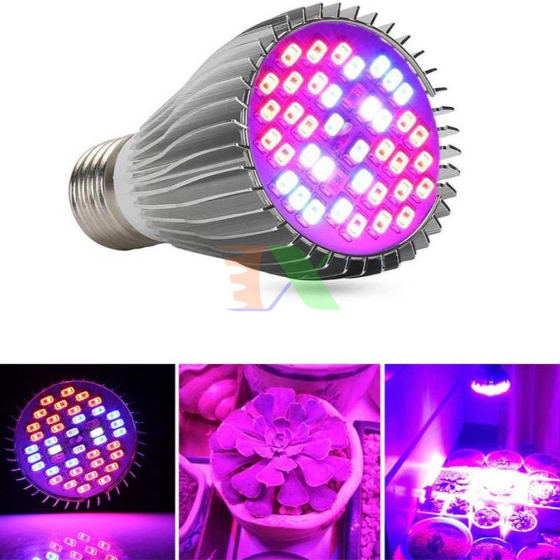 Led trồng cây 30W | Shopee Việt Nam