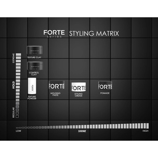 Sáp Vuốt Tóc Nam FORTE SERIES - Hàng Chính Hãng