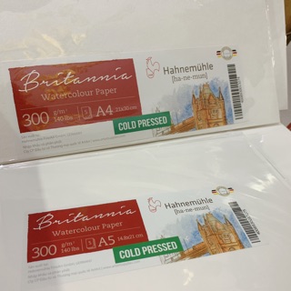 Giấy vẽ HAHNEMUHLE Britannia 300gsm VÂN HOT/ COLD từ Đức size a5 - a4 🐻🌼