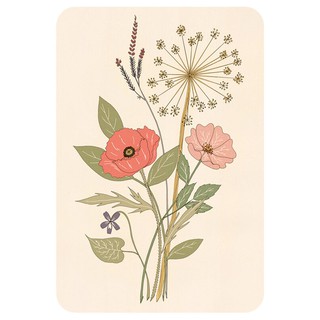 Bộ Bài Dream Decoder Cards (Mystic House Tarot Shop) - Bài Gốc Authentic Chính Hãng 100%