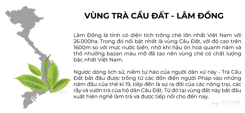 Mô tả Trà Oolong Kim Tuyên Cầu Đất Dalat Farm - Túi Thiếc 100Gr - 6