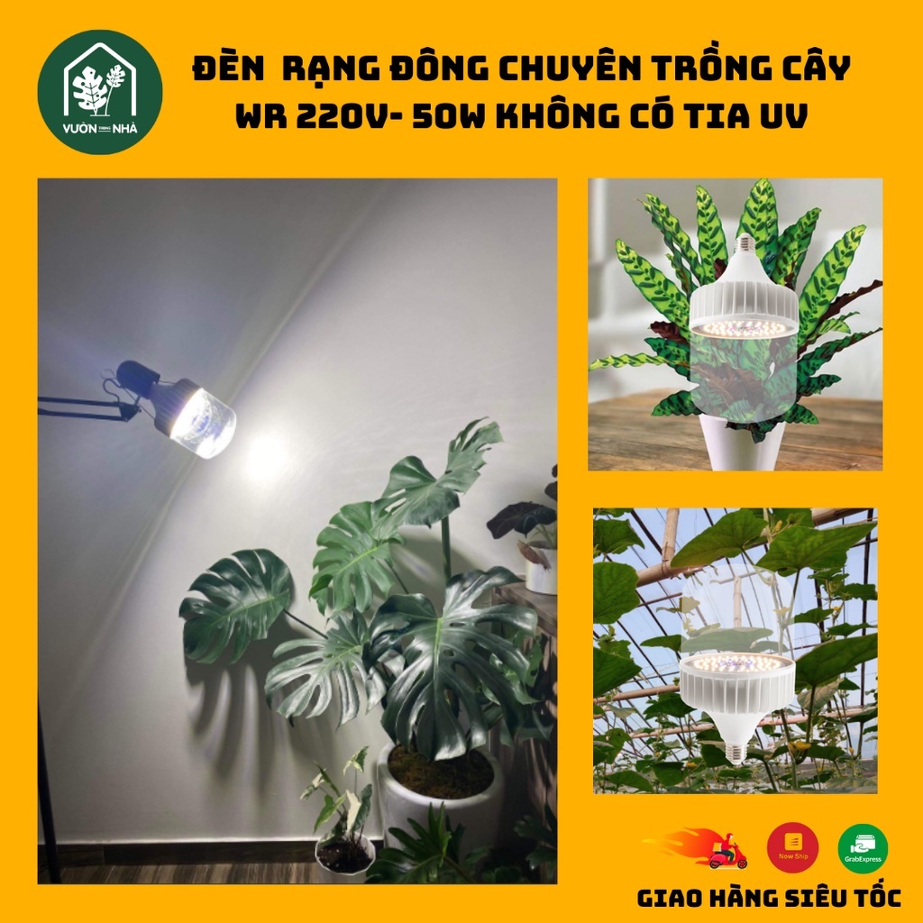 Đèn led trồng cây Rạng Đông 50W 220v không tia UV, đèn quang hợp cho ...