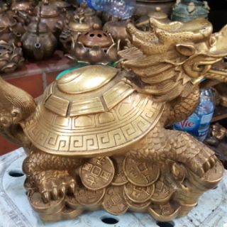 Rùa Đầu Rồng (Long Quy) cao 15cm