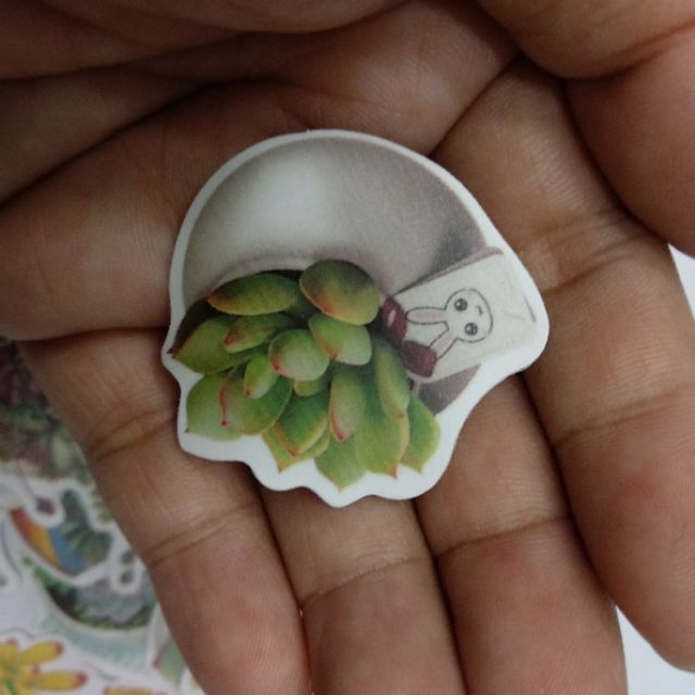 Bộ sticker xương rồng mini