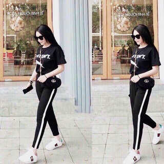 Quần thun viền sọc ôm body nữ cực xinh , tôn dáng siêu hot KB FASHION