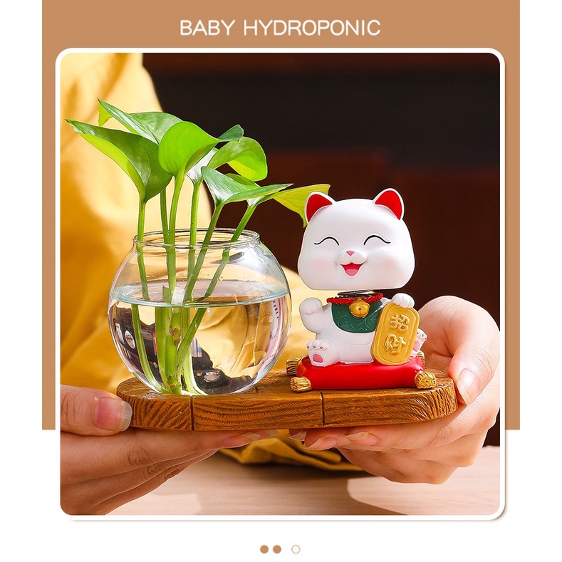 Bộ decor Mèo thần tài may mắn kết hợp cùng bình thủy sinh trang trí nhà, bàn làm việc góc học tập giúp mang lại may mắn