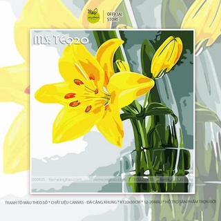 [30x30cm] Tranh số hóa - Tranh tô màu theo số CÓ KHUNG chủ đề Những đóa hoa / Bầu trời / Quà tặng độc đáo tự tay làm lấy