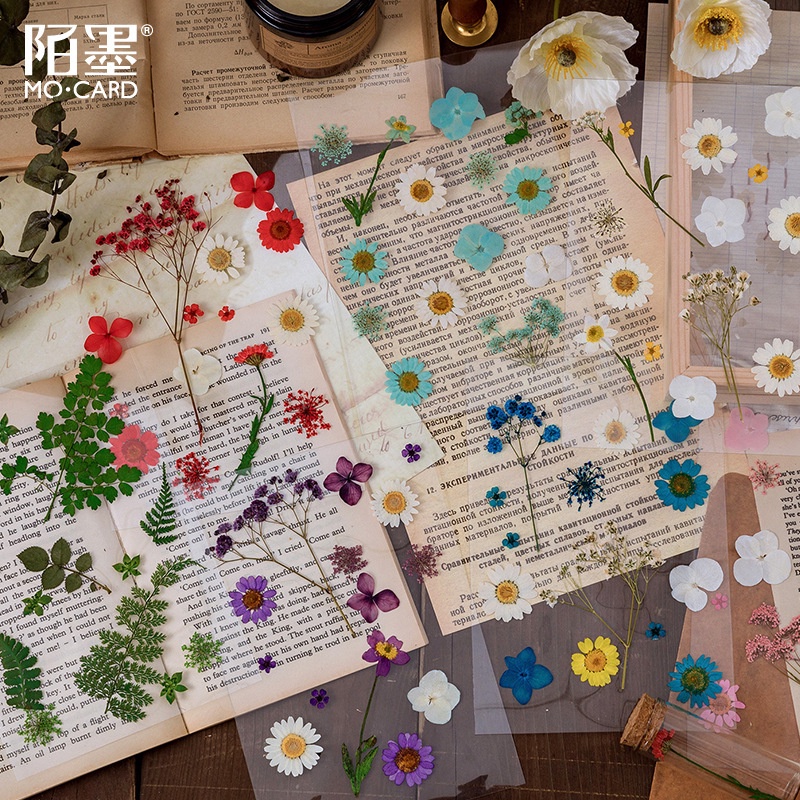 Sticker hoa khô làm từ hoa thật vintage dán sổ retro mẫu hoa lá HD113-K61 DIY Crafts, Scrapbook, Journal, Thủ công