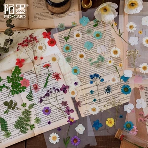 Sticker hoa khô làm từ hoa thật vintage dán sổ retro mẫu hoa lá HD113-K61 DIY Crafts, Scrapbook, Journal, Thủ công