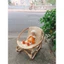 Ghế Mây thư Giản Dành Cho Trẻ Em, Trang Trí Phòng Bé, Trường Mầm Non, Shop Kid, Khu Vui Chơi
