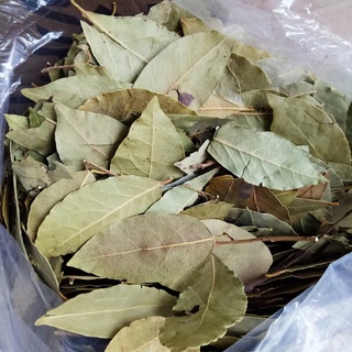 10G Lá Nguyệt Quế Khô/ Lá Thơm/ Bay Leaf - Tạo Mùi Thơm đặc Trưng Cho Món ăn Như Bò Kho, Mỳ Ý, Thịt Nướng