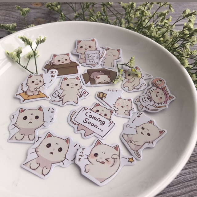 Sticker hộp cute Shopee Việt Nam