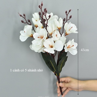 Hoa Giả- Hoa Diên Vĩ 43cm 5 Nhánh Decor Nhà Cửa, Studio Tinh Tế, Sang Trọng, Quý Phái