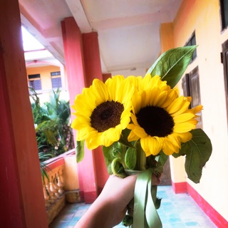 truongtuoi12a8