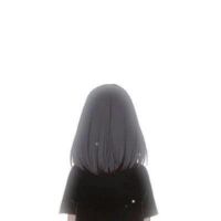 vanmon611
