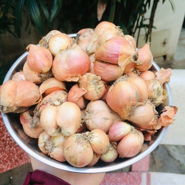 HÀNH -  TỎI TA  khÔ có cuống, cắt cuống 1000G