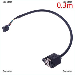 Dây cáp mở rộng chuyển đổi đầu bo mạch chủ 9 chân sang 2 cổng cắm USB 2.0