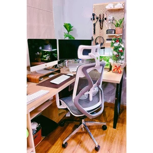 Ghế Công Thái Học Manson Butterfly Wing hỗ trợ cột sống, chống mỏi mệt khi làm việc thời gian dài