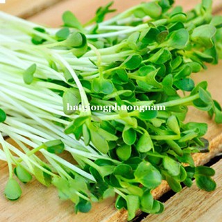 Hạt Giống Mầm Củ Cải Trắng Phương Nam
