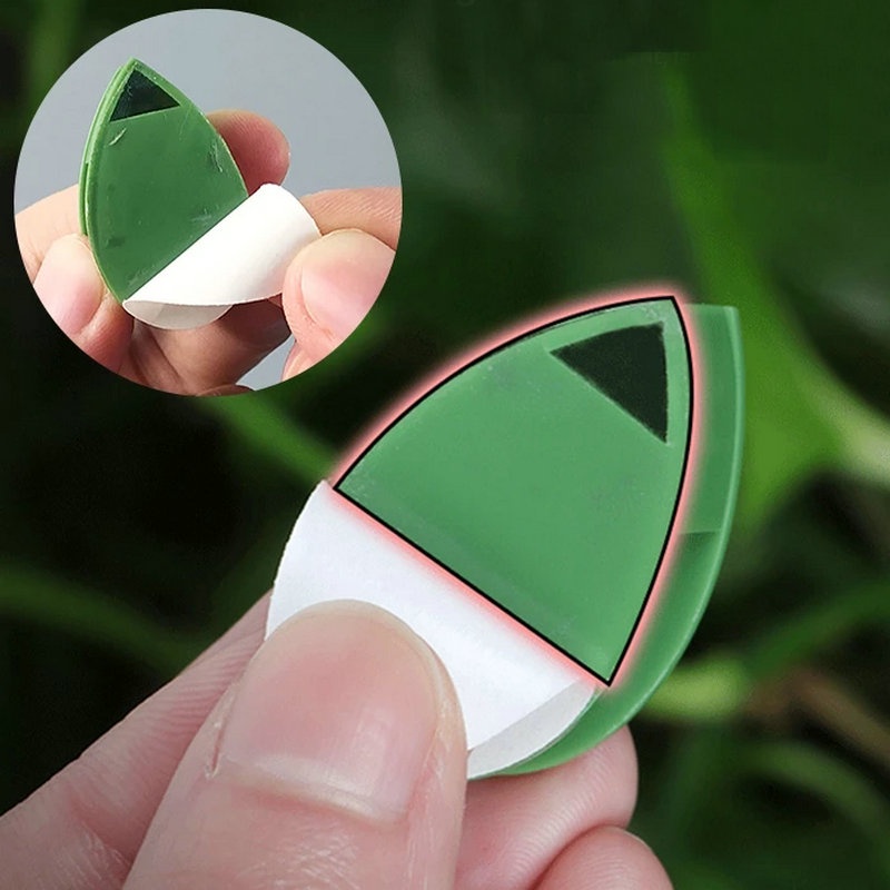 Set 10 Kẹp Cố Định Cây Dây Leo Gắn Tường Vô Hình Tự Dính/Dây Cáp Nhà