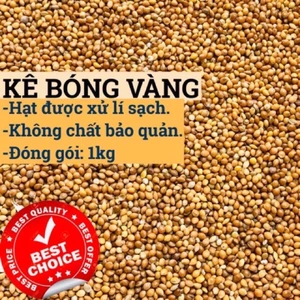 1kg kê bóng vàng (hạt kê vàng) - Thức ăn: Yến Phụng • Sóc • Gà Kiểng • Cu Gáy