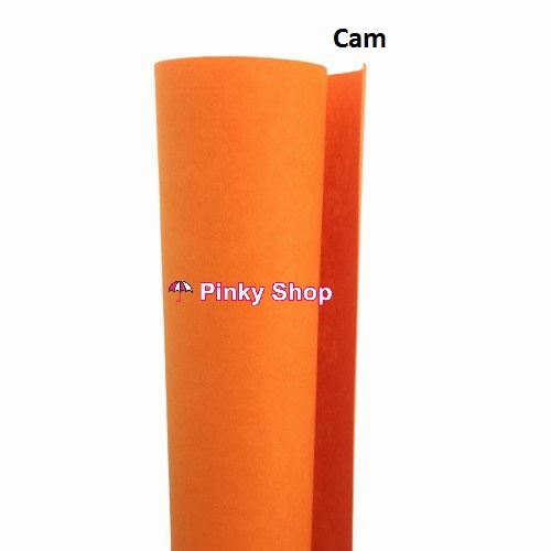Cam