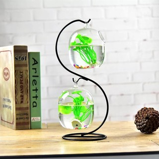 Bình thủy tinh trong suốt đựng hoa treo hình bể cá