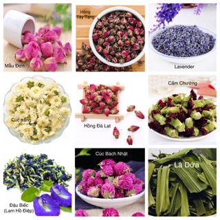 Bộ Kit Nguyên Liệu + Dụng Cụ (5 hủ)
