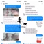 Kem bôi Nấm - viêm da dành cho thú cưng.