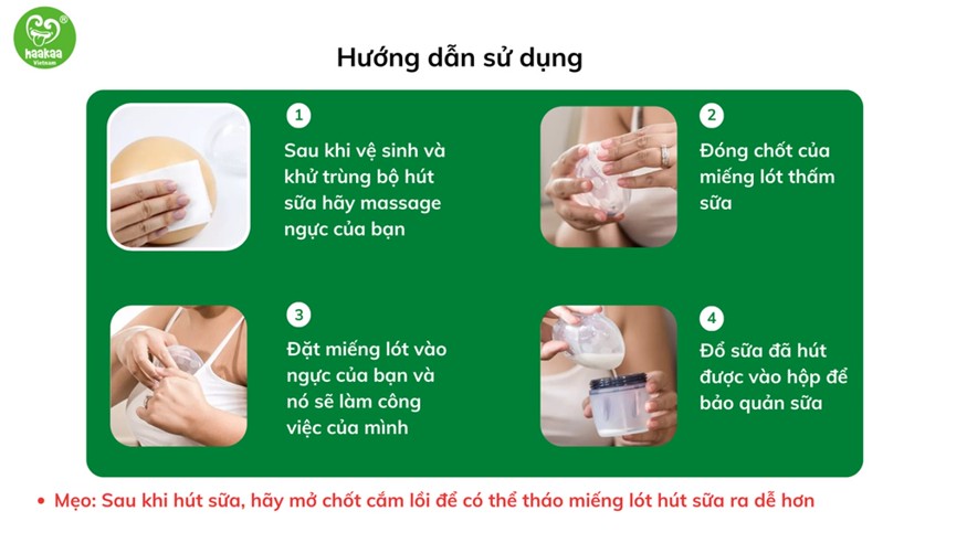 Hướng dẫn sử dụng miếng lót hứng sữa Haakaa