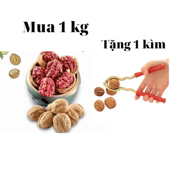 Hạt óc chó Trần Anh Food - Hạt óc chó đỏ nguyên vỏ sấy khô túi 500g ăn vặt tốt cho mẹ bầu