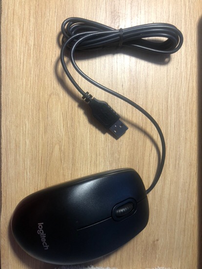 Logitech B100