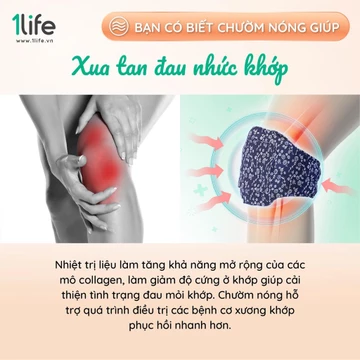 [Bebu123]COMBO GIA ĐÌNH: 5 LOẠI GỐI CHƯỜM THẢO MỘC/TÚI CHƯỜM THẢO DƯỢC 1LIFE