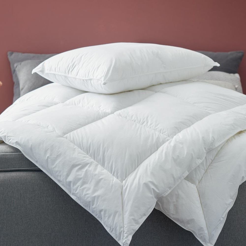 Ảnh Bộ 2 ruột gối | JYSK Skien | polyester | D70xR50cm, 900g 1