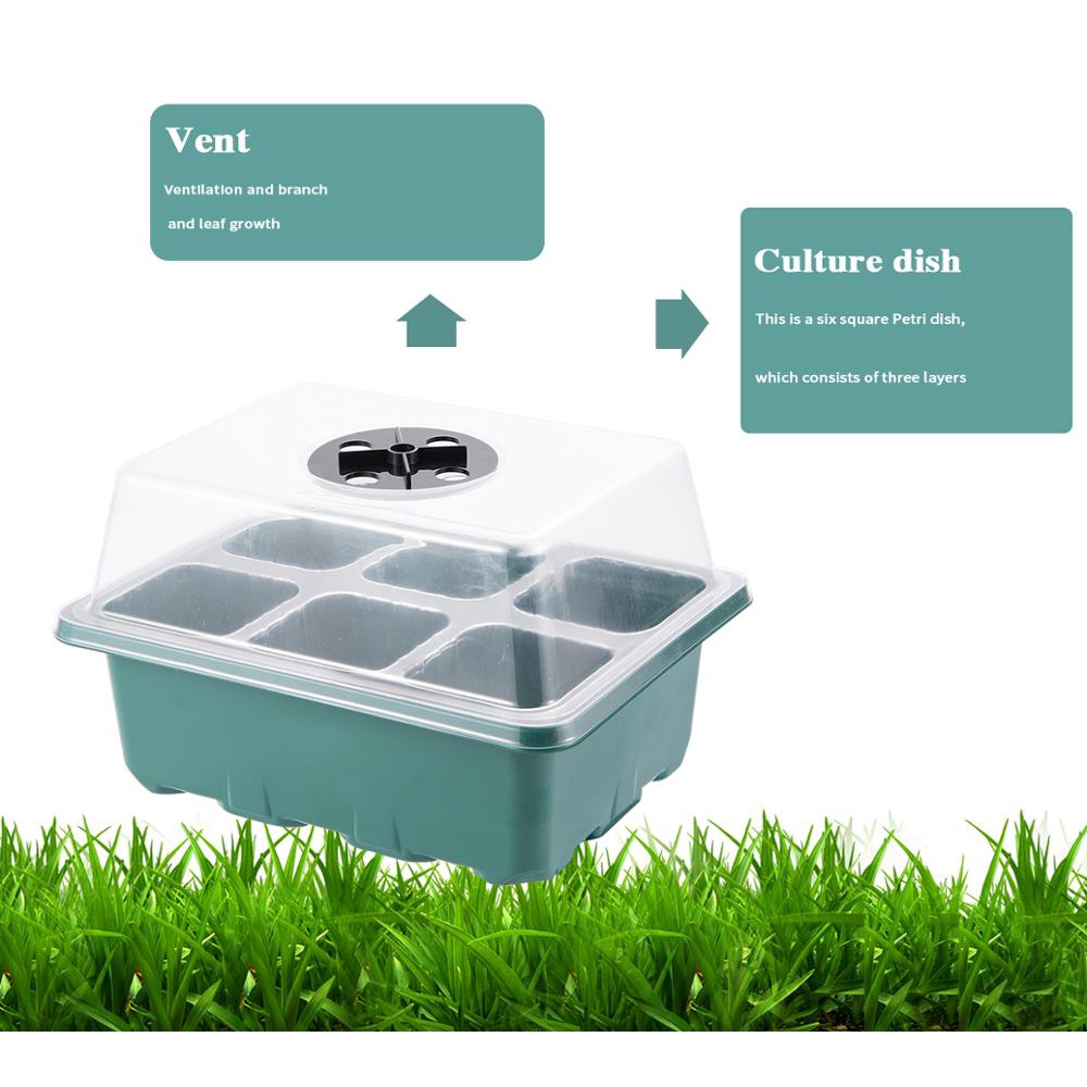 3 BỘ 6 / 12 Cells Thoáng Khí Germination Box Vườn Mini Nhà Kính Mầm Non ...