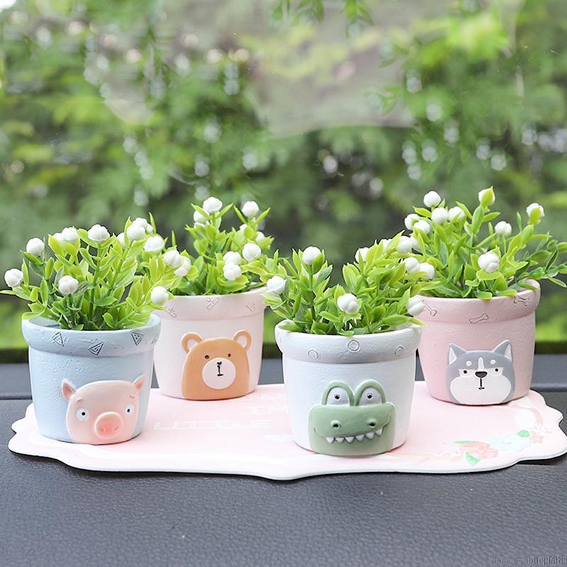 chậu cây để bàn