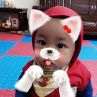 dosu2013.2016