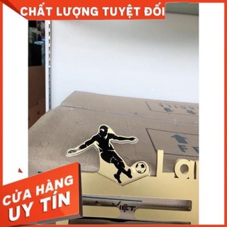Giá treo huy chương bóng đá gắn tường, kt 40x18cm