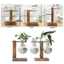 Bình thủy tinh JUIC Trang trí Terrarium Để bàn Chậu hoa
