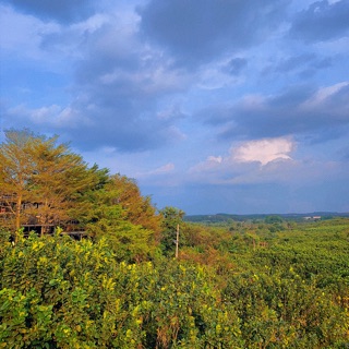 hangan0905