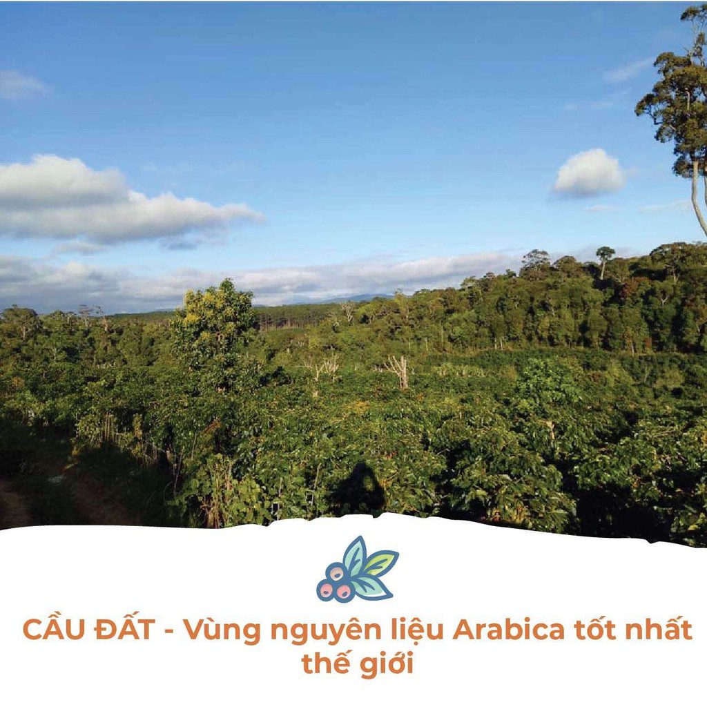 Ảnh Cà Phê Arabica Cầu Đất Dalat Farm - Túi 250Gr (Dạng hạt) 1