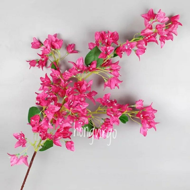 cành cây làm hoa giá tốt Tháng 10, 2024 | Mua ngay | Shopee Việt Nam