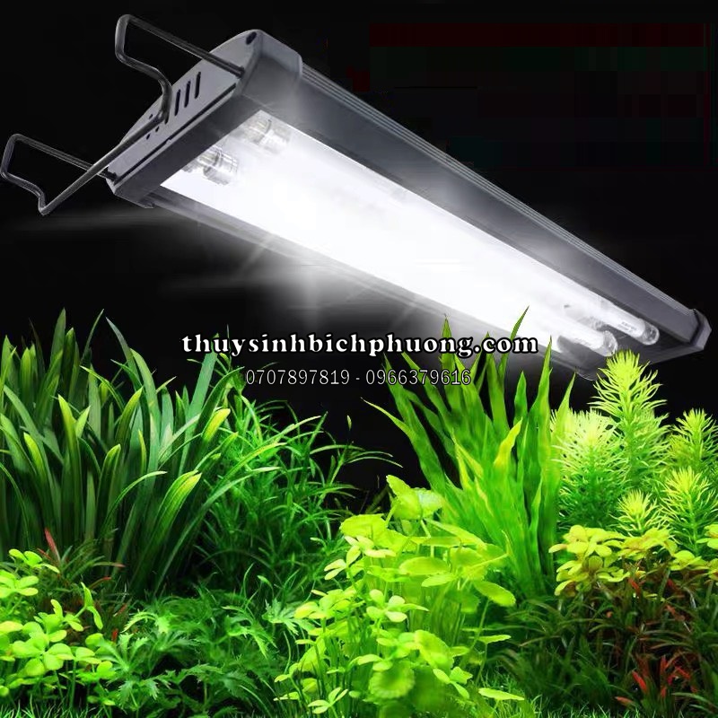 3. Các loại đèn LED 10000K phổ biến