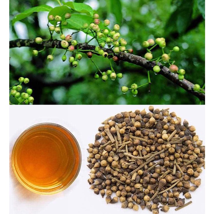 Nụ vối khô thượng hạng JINDO 1kg hỗ trợ v_iêm dạ dày, v_iêm ruột cấp tính