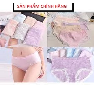 💖 MẶC THÍCH 💖 Set 5 Quần Lót Nữ Muji xuất Nhật Viền Ren cao cấp