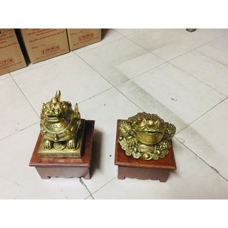 Cặp cóc + tỳ hưu hút tài lộc  vật phẩm phong thuỷ bằng đồng