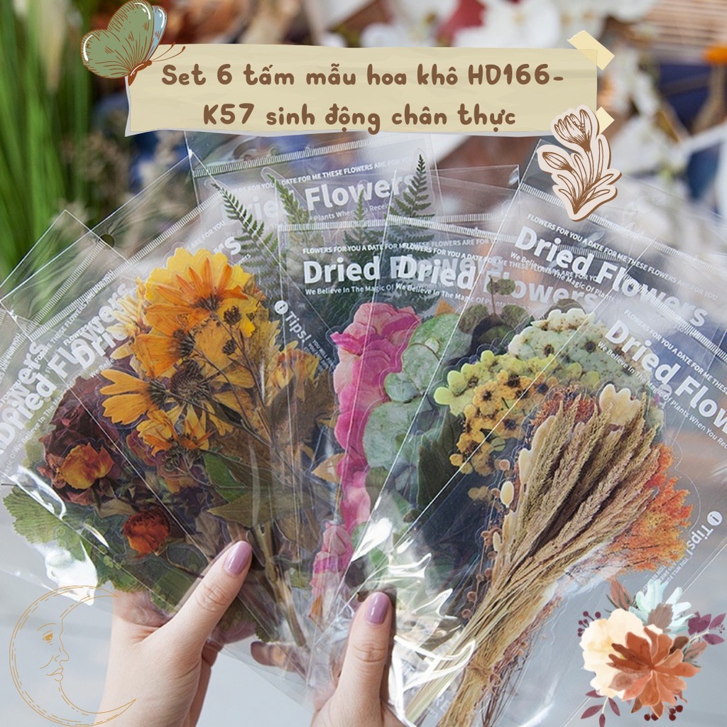 Sticker vintage dán sổ set 6 tấm mẫu hoa khô HD166-K57 sinh động chân thực trang trí DIY, Bullet Journal