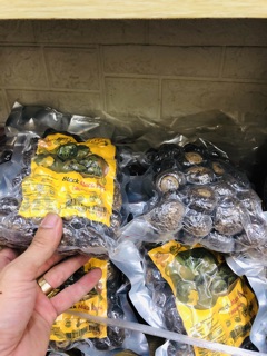 1KG Sâm Maca Đen Peru - Rất Tốt Cho Sức Khỏe TD